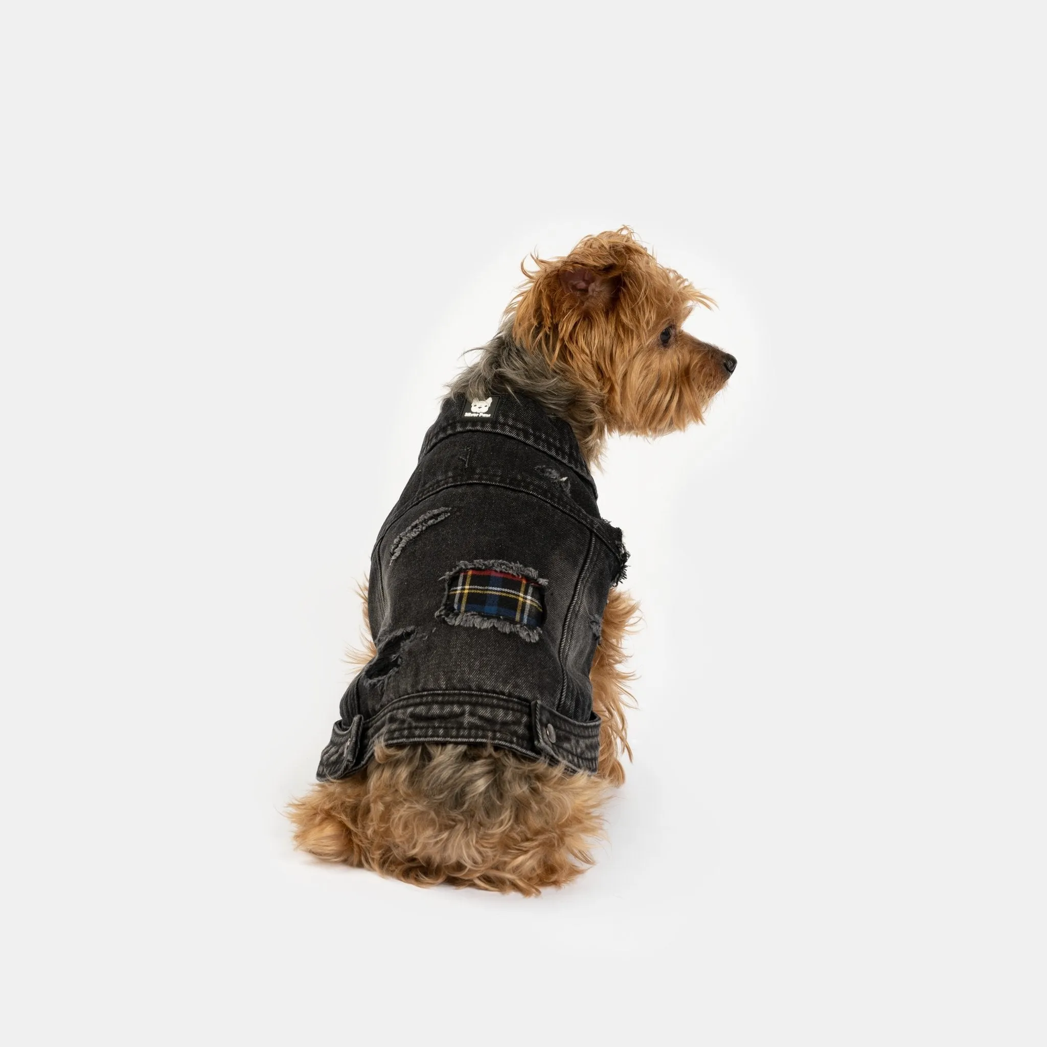🖤 Spencer Dog Jacket – Distressed Denim with Sherpa Lining & Matte Snaps