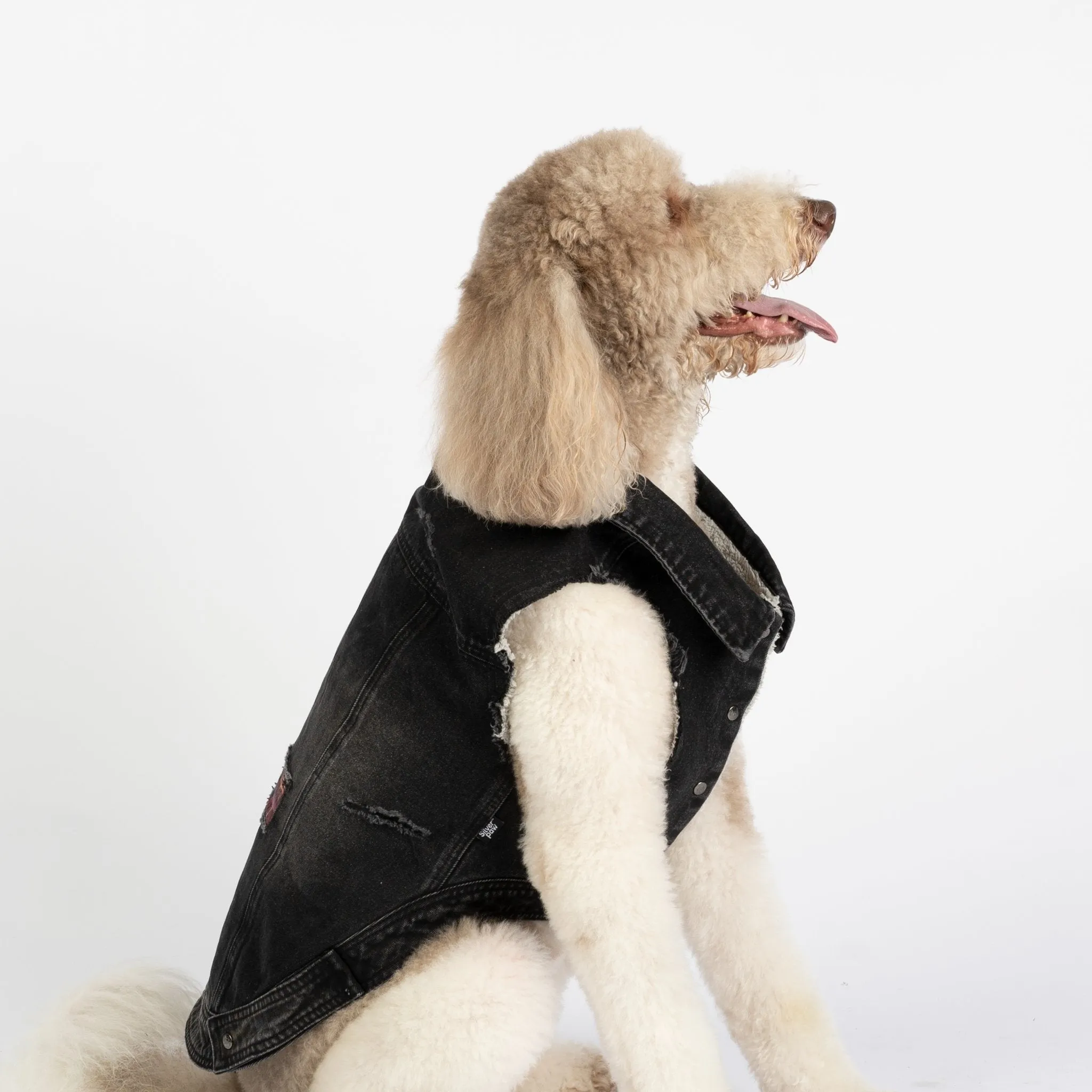 🖤 Spencer Dog Jacket – Distressed Denim with Sherpa Lining & Matte Snaps