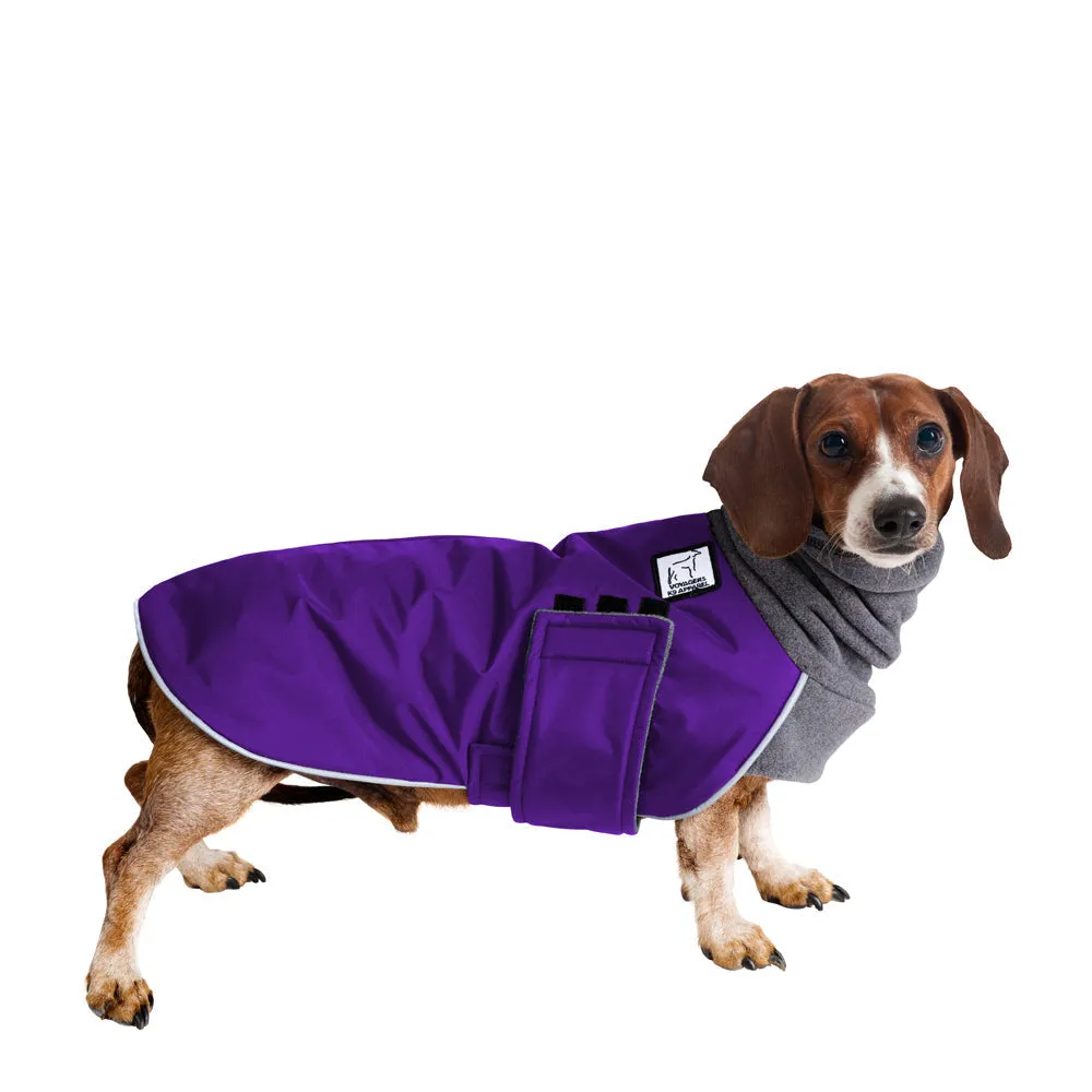 Dachshund Winter Coat